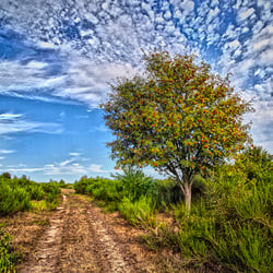 landscape photography