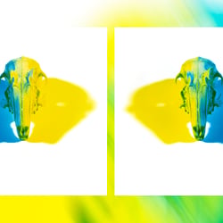 scull