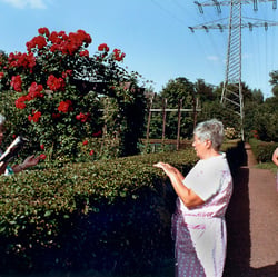 Schrebergarten 7