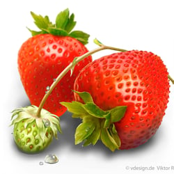 Erdbeeren, Food, Produktbild, Verpackung