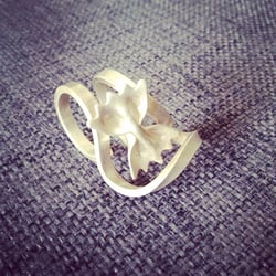 Ring Pasta