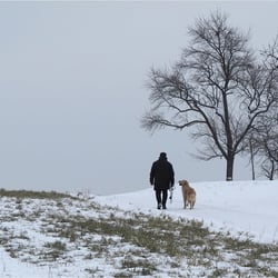 Winterspaziergang 2734Ak