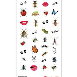 bluhm sticker web mobil