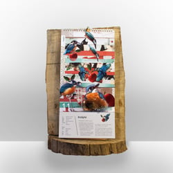 Kalender