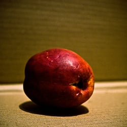 lonely nectarine
