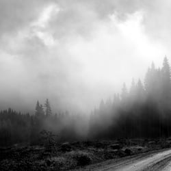 Nebel