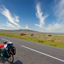 Im Dartmoor Nationalpark