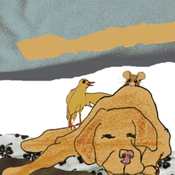 Kinderbuch Maus und Piep Sabrina Romstätter-Autor und Illustrator