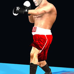 3D Model von Kubrat Pulev (Boxer)