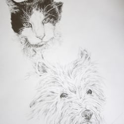 Portrait2