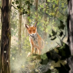 Fuchs – Digitale Illustration