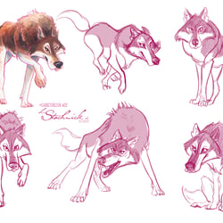Characterdesign Wolf