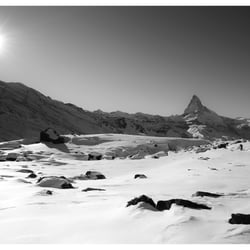Alpine Horizontal