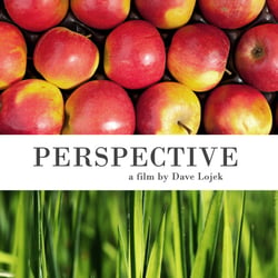 PERSPECTIVE