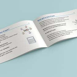 Irina Karelina | Corporate Design | Inklusives Design
