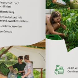 Informativer Innenteil des Flyers