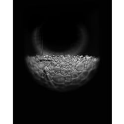 dominic die welt ist eine blase analogphotographie no photoshop