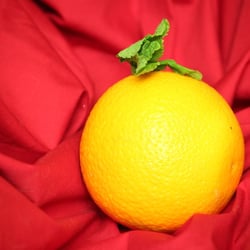 Food Photography 2012 Orange 01
