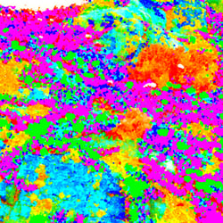 Kunstdruck „Bunte Kleckse“