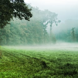 Münsterland