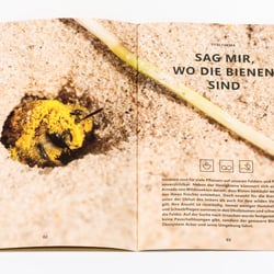 Magazin – FELD Ausgabe 03 | 2017 4