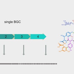 Vancomycin Screenshot #3