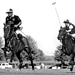 POLO_005