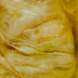 „Ückendorf Conservation“