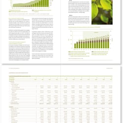 Layout, Reinzeichnung für die Agentur Republic (Kunde: TIV, Fondsprospekt)