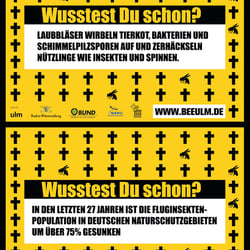Plakat Bienen-Sterben