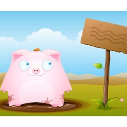 Piggy