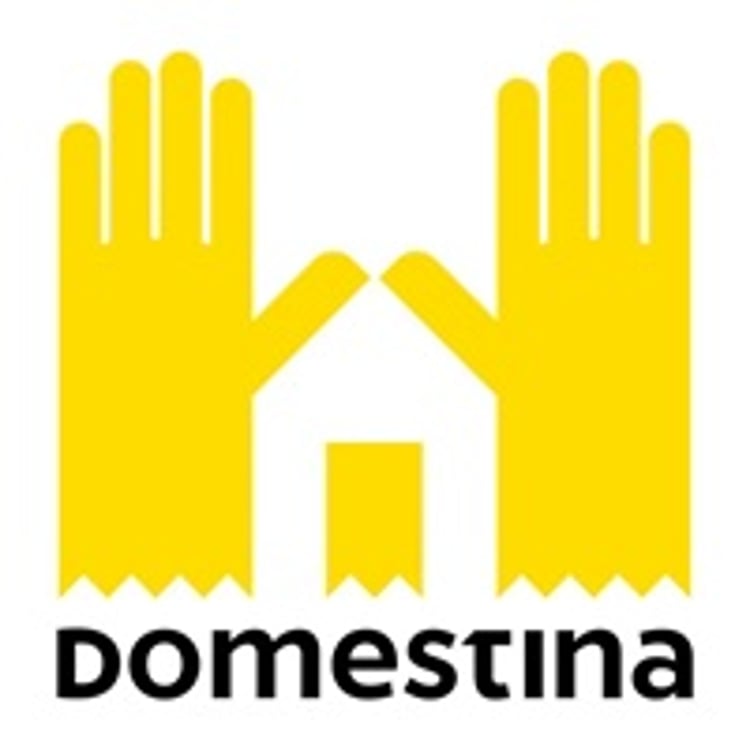 Domestina România