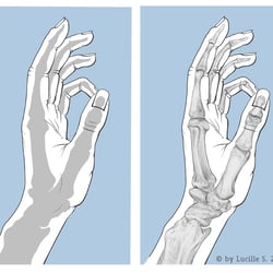 hand illu