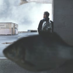 Silber/Fische