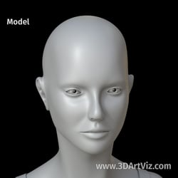 cam 01 03 model
