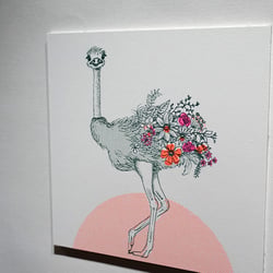 Vogelstrauß