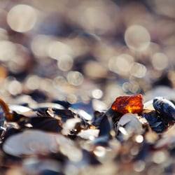 IMG JS3146-a jean schwarz hiddensee