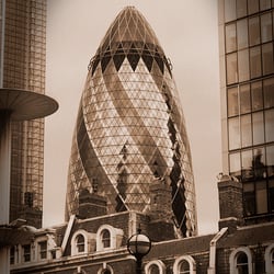 the gherkin