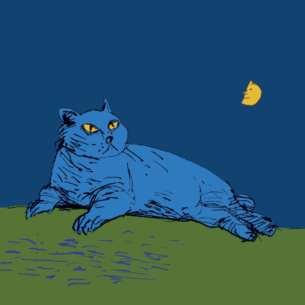 Fetter Kater (Diabetes 2)