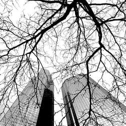 FFM