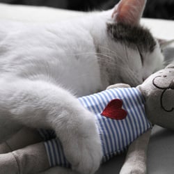 best friends