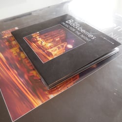 The Blackberries Debut Album LP und Album Cover Design