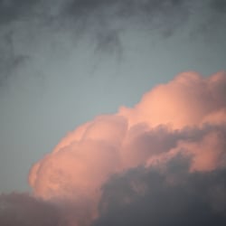 Natur 2012