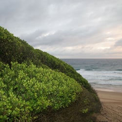 Elefant Reserve