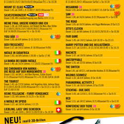programmflyer A5 Bern