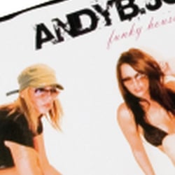 Flyer für Andy B. Jones