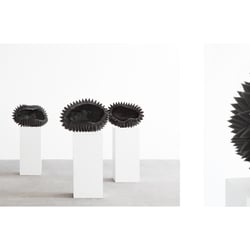 Kunst im Raum – Prof. Dr. Gerti Papesch
