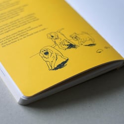 Federzeichnungen für ein Jubiläums-Notizbuch der Apotheke zum Löwen
