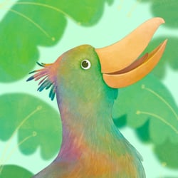 Tropical bird