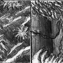 Storyboard